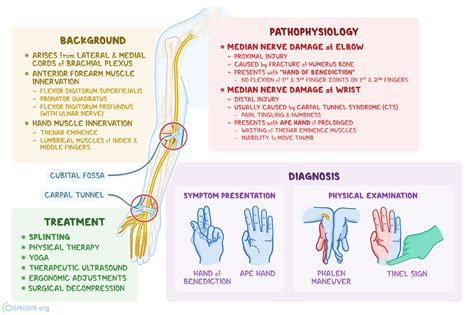 median nerve injury sign